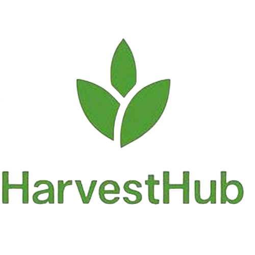 logo-removebg-preview